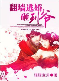 翻牆逃婚,砸到爺